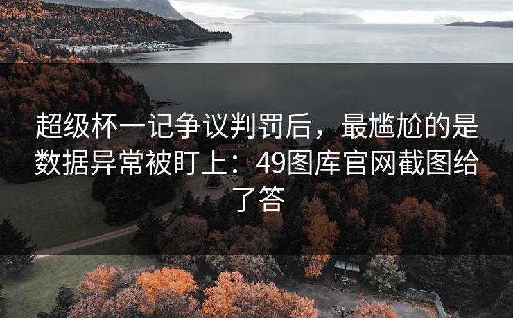 超级杯一记争议判罚后，最尴尬的是数据异常被盯上：49图库官网截图给了答