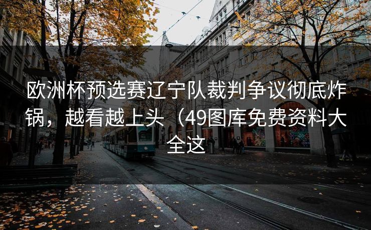 欧洲杯预选赛辽宁队裁判争议彻底炸锅，越看越上头（49图库免费资料大全这