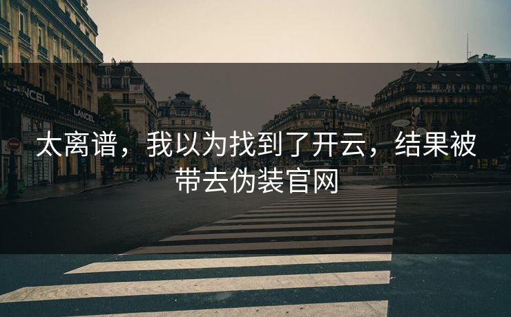 太离谱，我以为找到了开云，结果被带去伪装官网