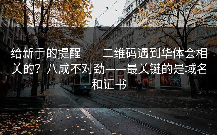 给新手的提醒——二维码遇到华体会相关的？八成不对劲——最关键的是域名和证书